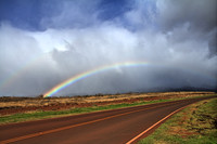 The Hawaii Collection